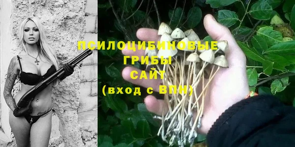 меф Алексин